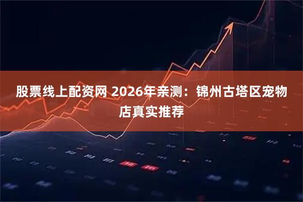 股票线上配资网 2026年亲测：锦州古塔区宠物店真实推荐